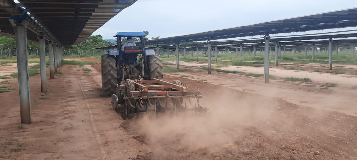 Tractor bajo paneles solares para siembra agrovoltaica